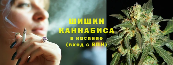 шишки Абинск