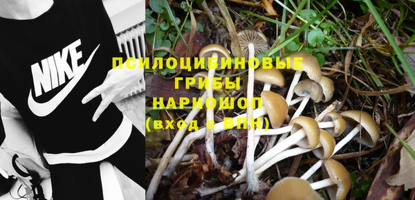 шишки Абинск