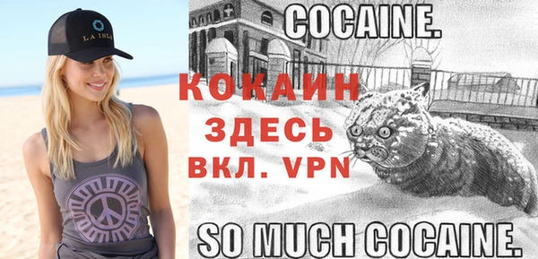 стафф Рославль